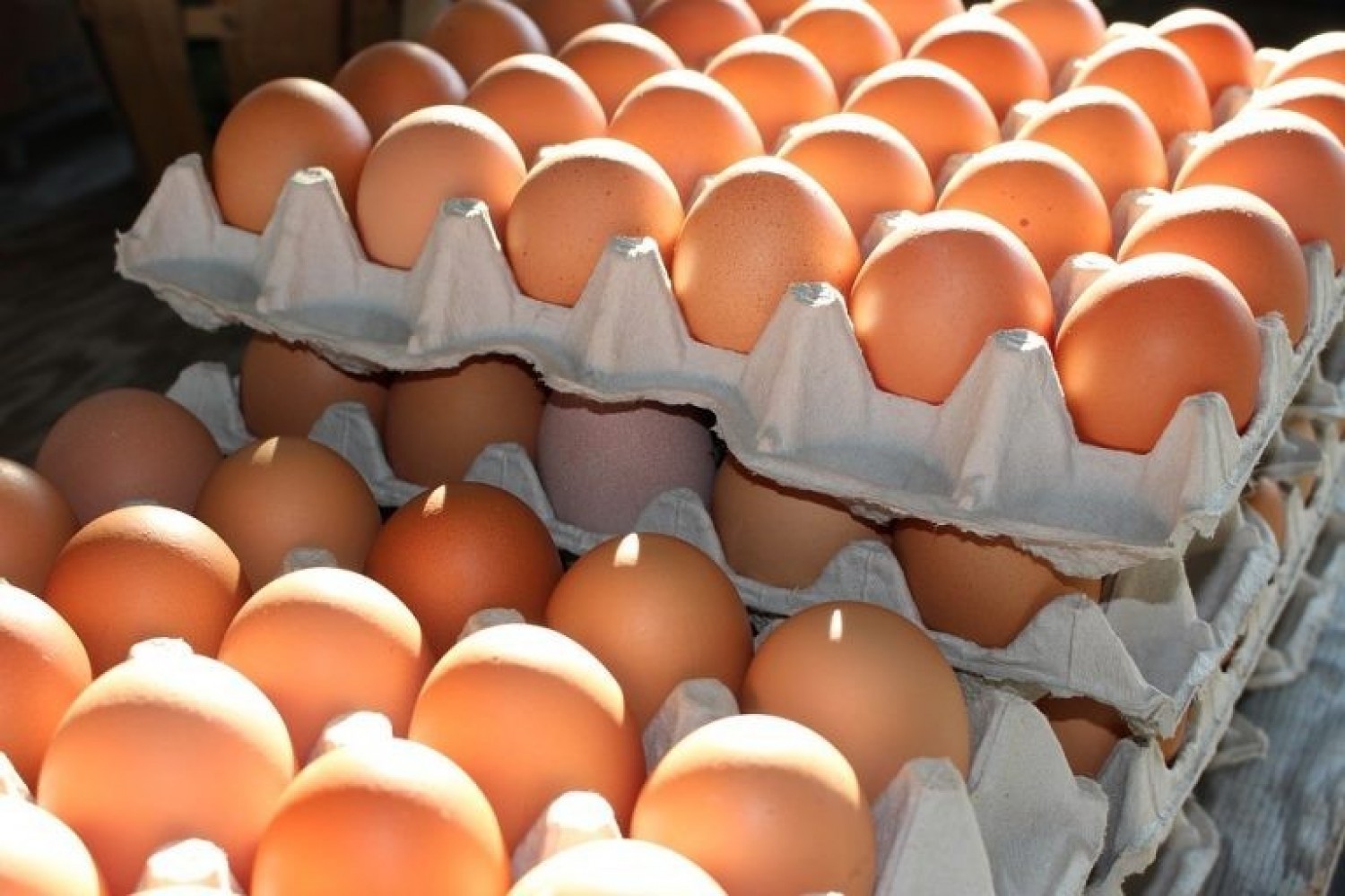 Pár héten belül az egekbe ugorhat a tojás ára