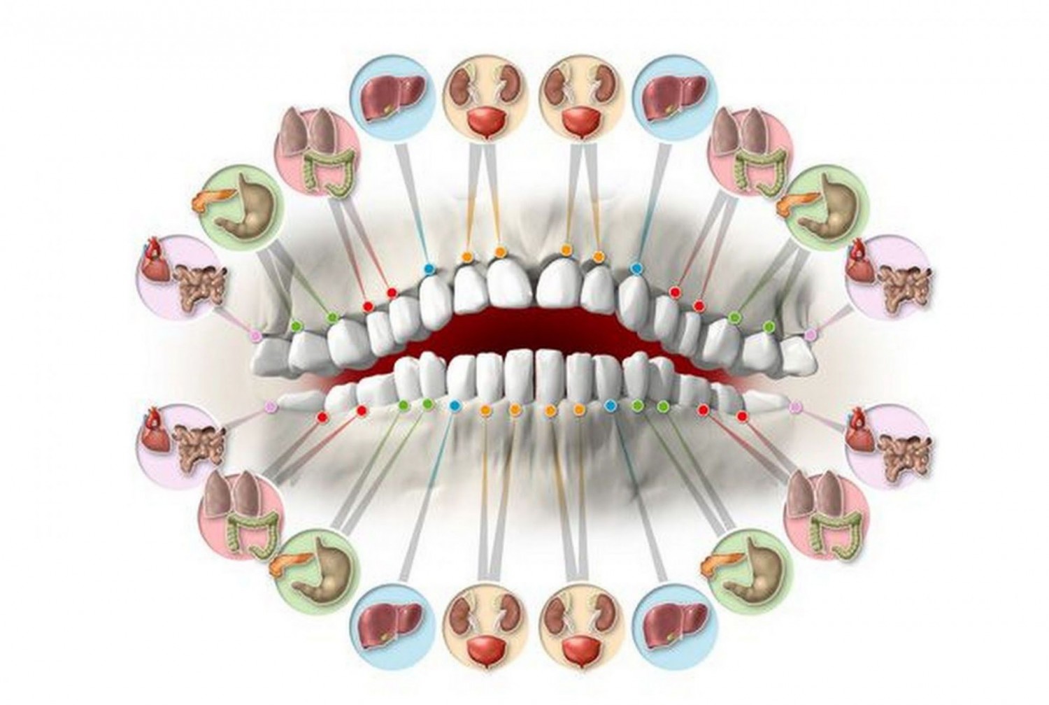 Ha romlik a fogad, valójában a hozzá tartozó szerveddel van baj!